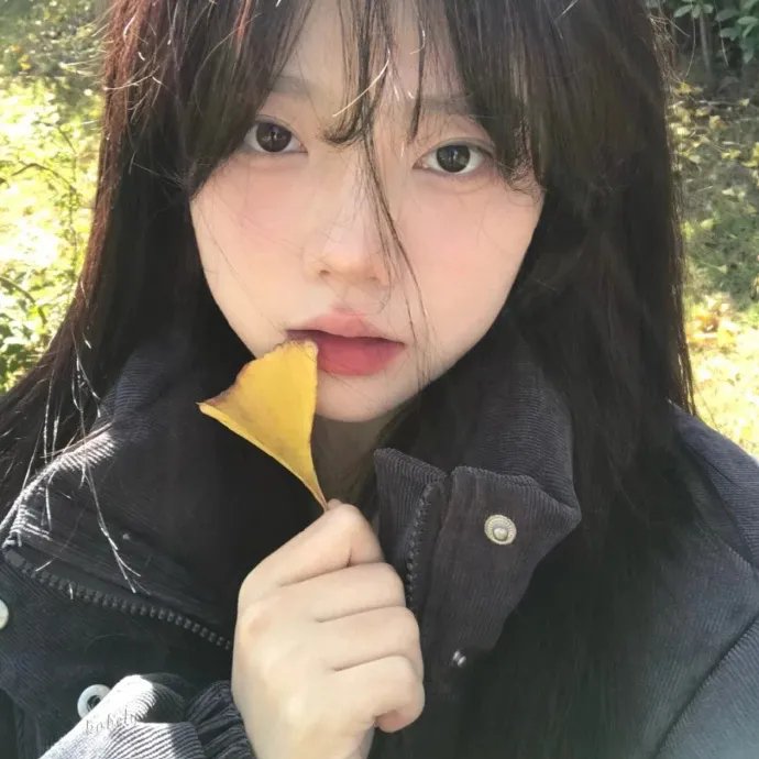 小马的山村日记